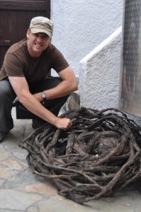 Santorini basket-trained vine