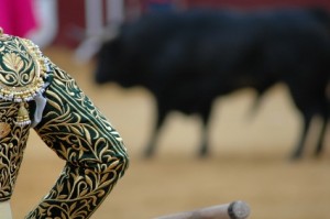 bullfighter