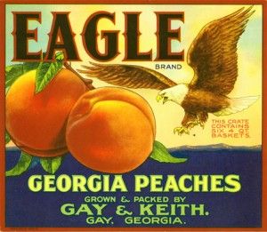 georgia-peaches1