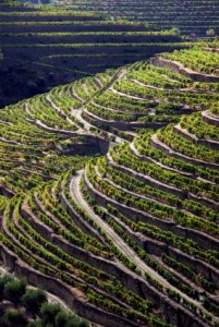 Douro1 Douro1
