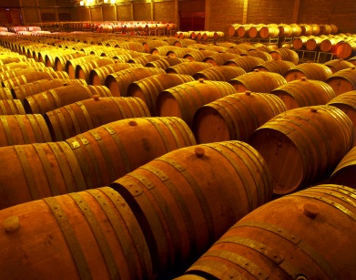 wine barrels/barriles de vino