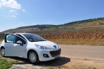 Peugy: this car can do some off-roading, son.